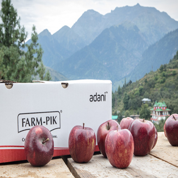 Adani Agri Fresh: Adani Agri Fresh purchases 2,500 tonnes of apples from farmers-thumnail