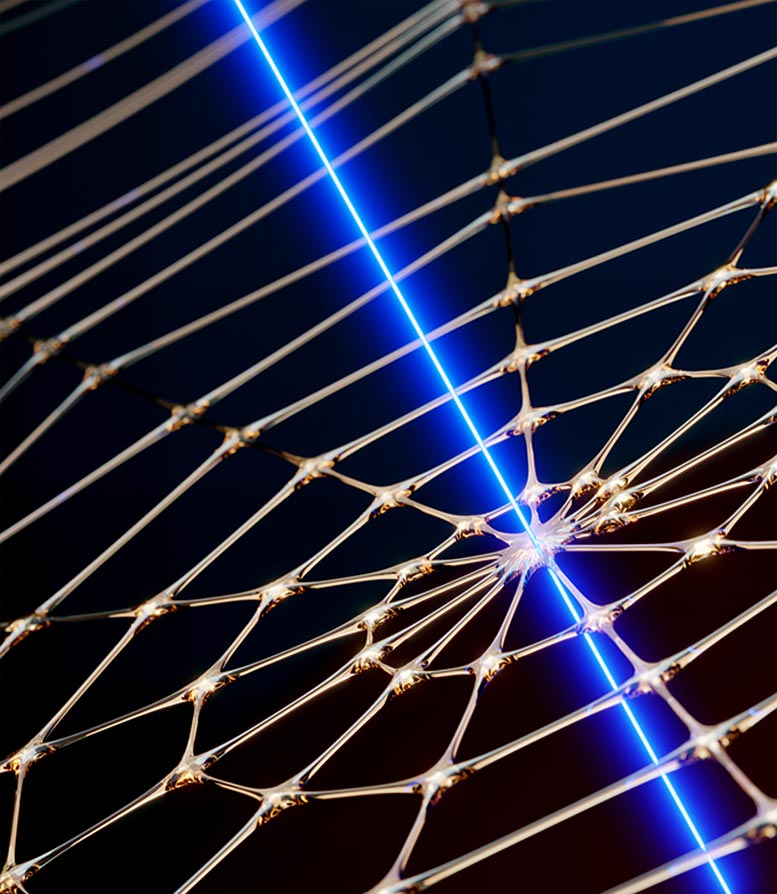The World’s Most Precise Microchip Sensors Created – Thanks to a Spider web-thumnail