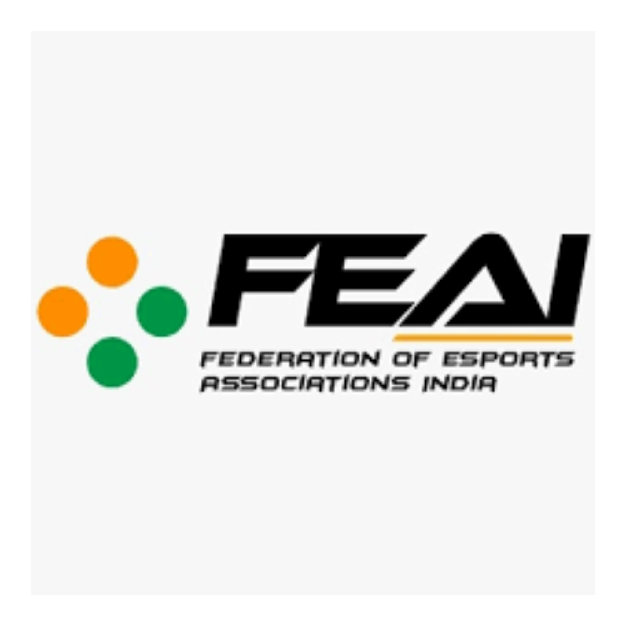 Federation of Electronic Sports Associations India (FEAI) celebrates  Hon’ble PM Shri Narendra Modi’s clarion call to “Create in India” taking “Brand India” to the world.-thumnail